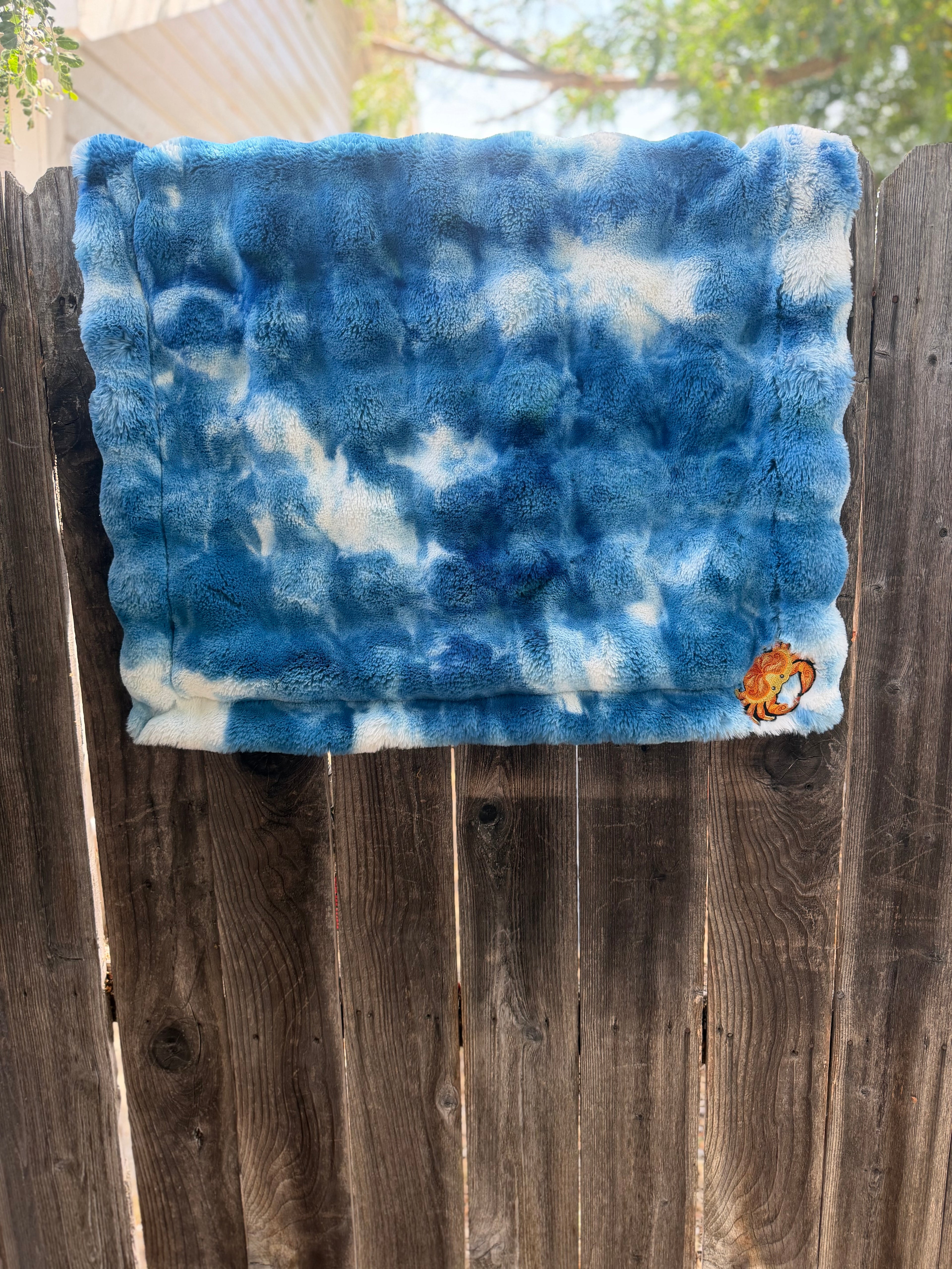 Under the Sea Minky Baby Blanket