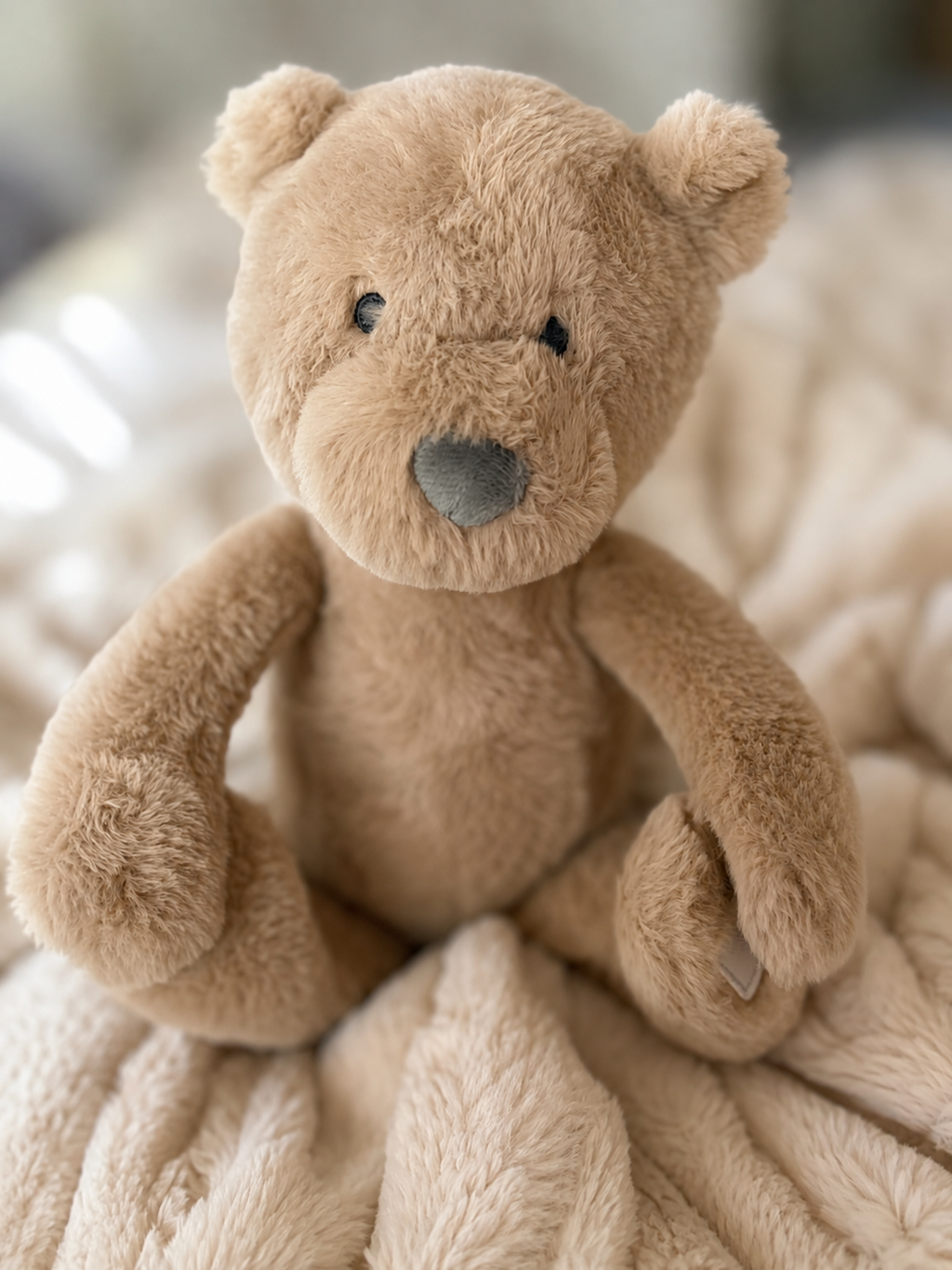 Stuffed Animal Baby Blanket Combo|Choose Animal & Blanket