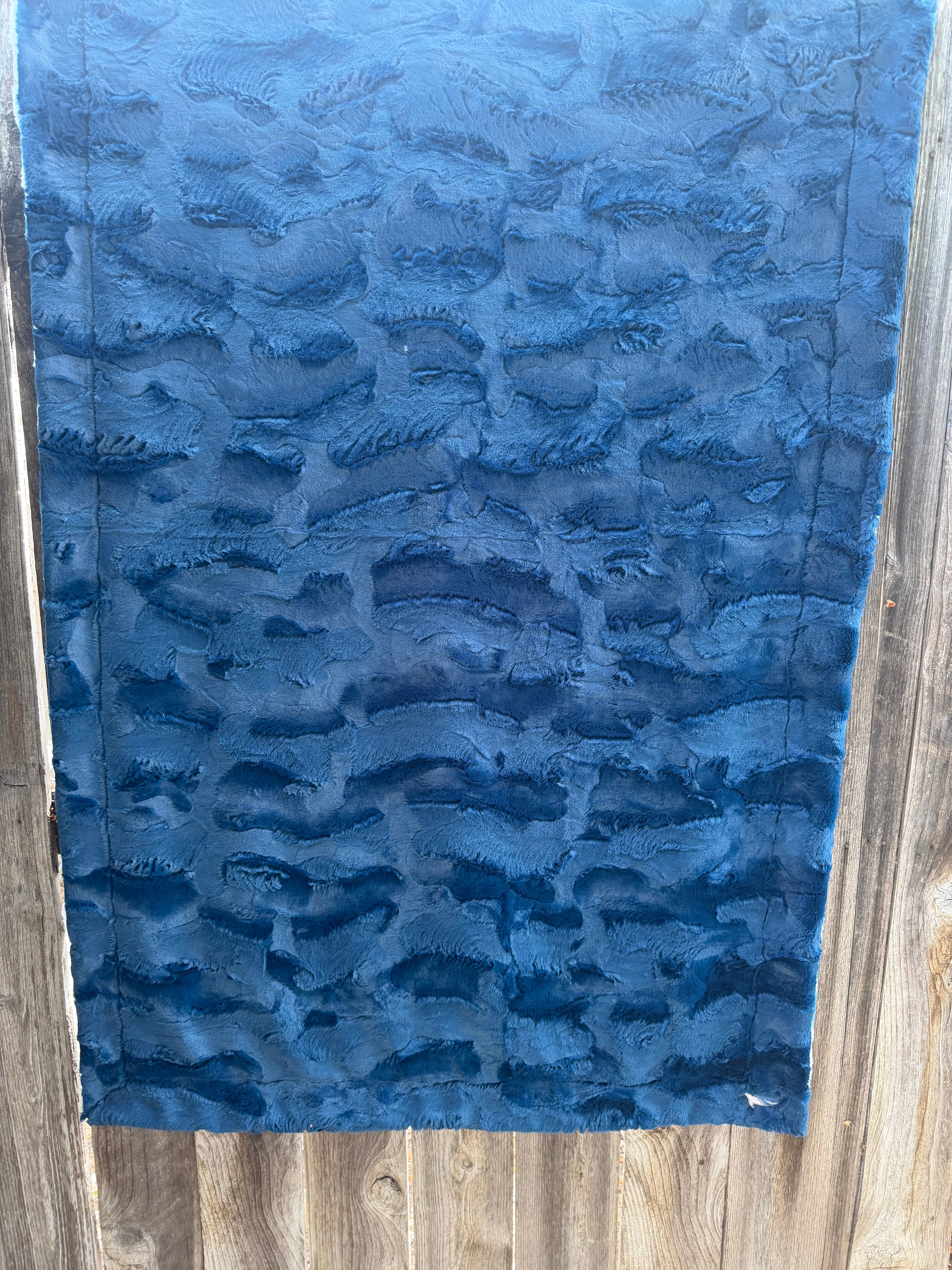 Coastal Whale Minky Lap Blanket