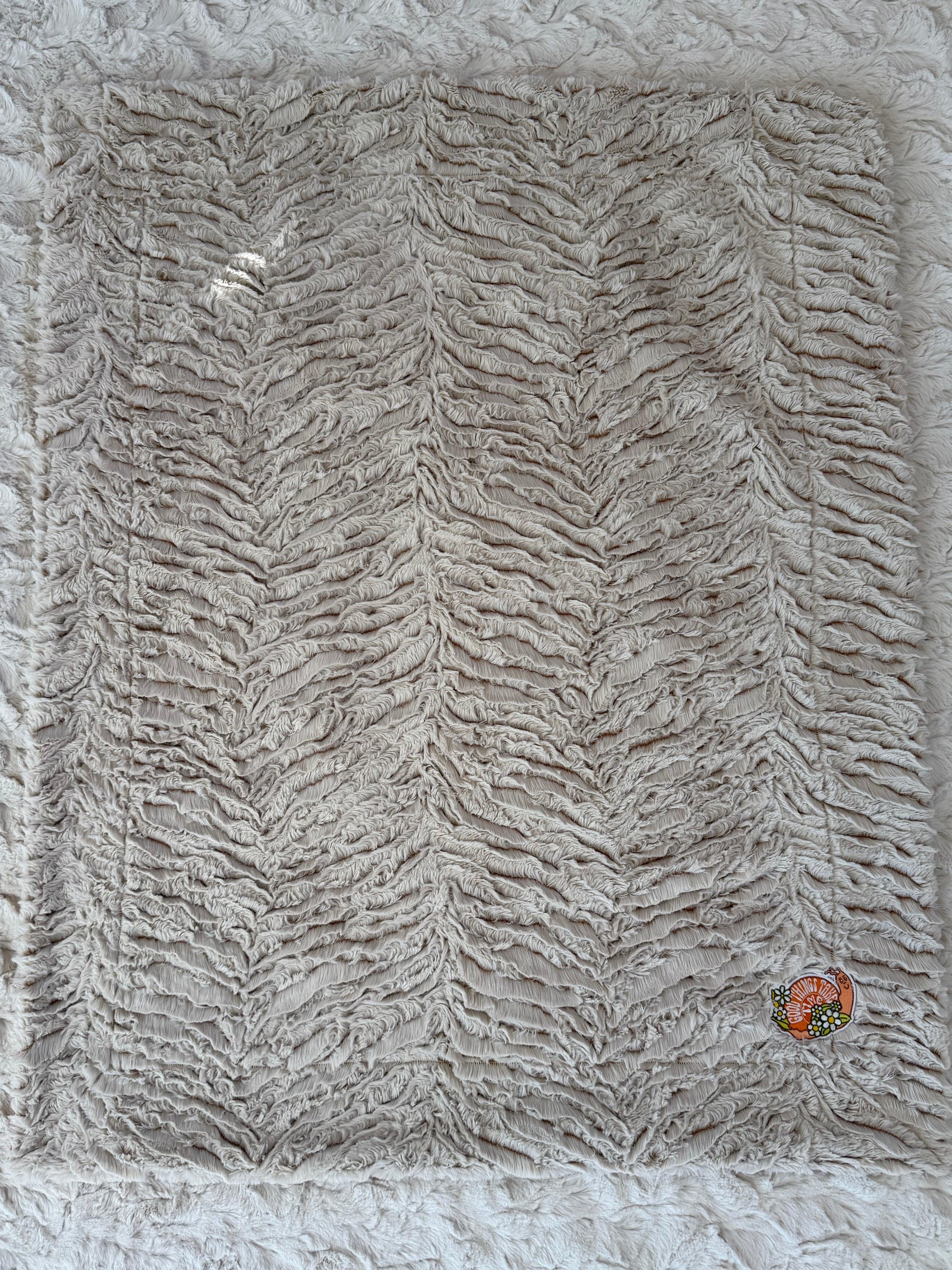 🐌 Good Things Take Time Minky Baby Blanket