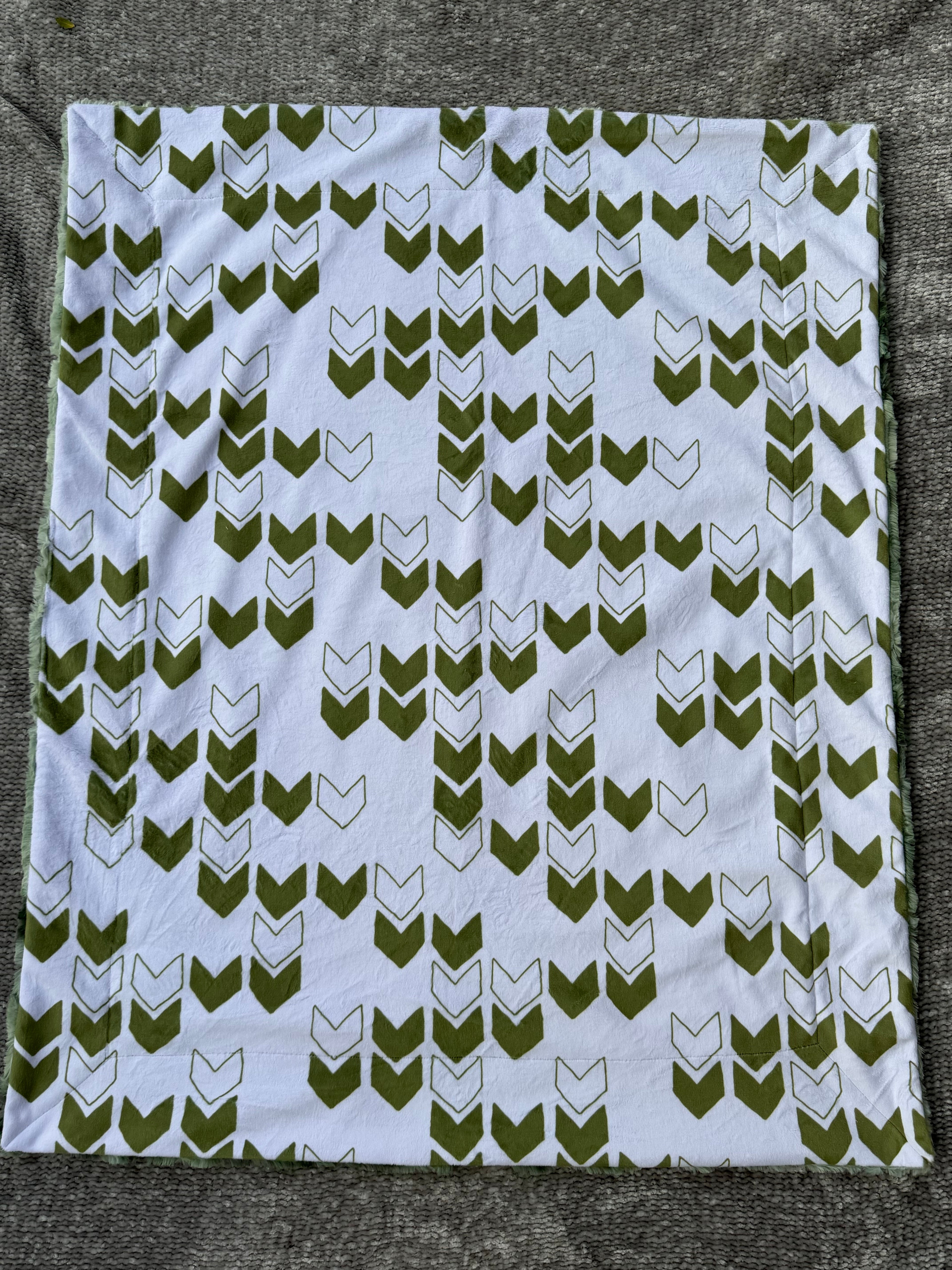 The Pokey Little Snail Minky Blanket 🐌