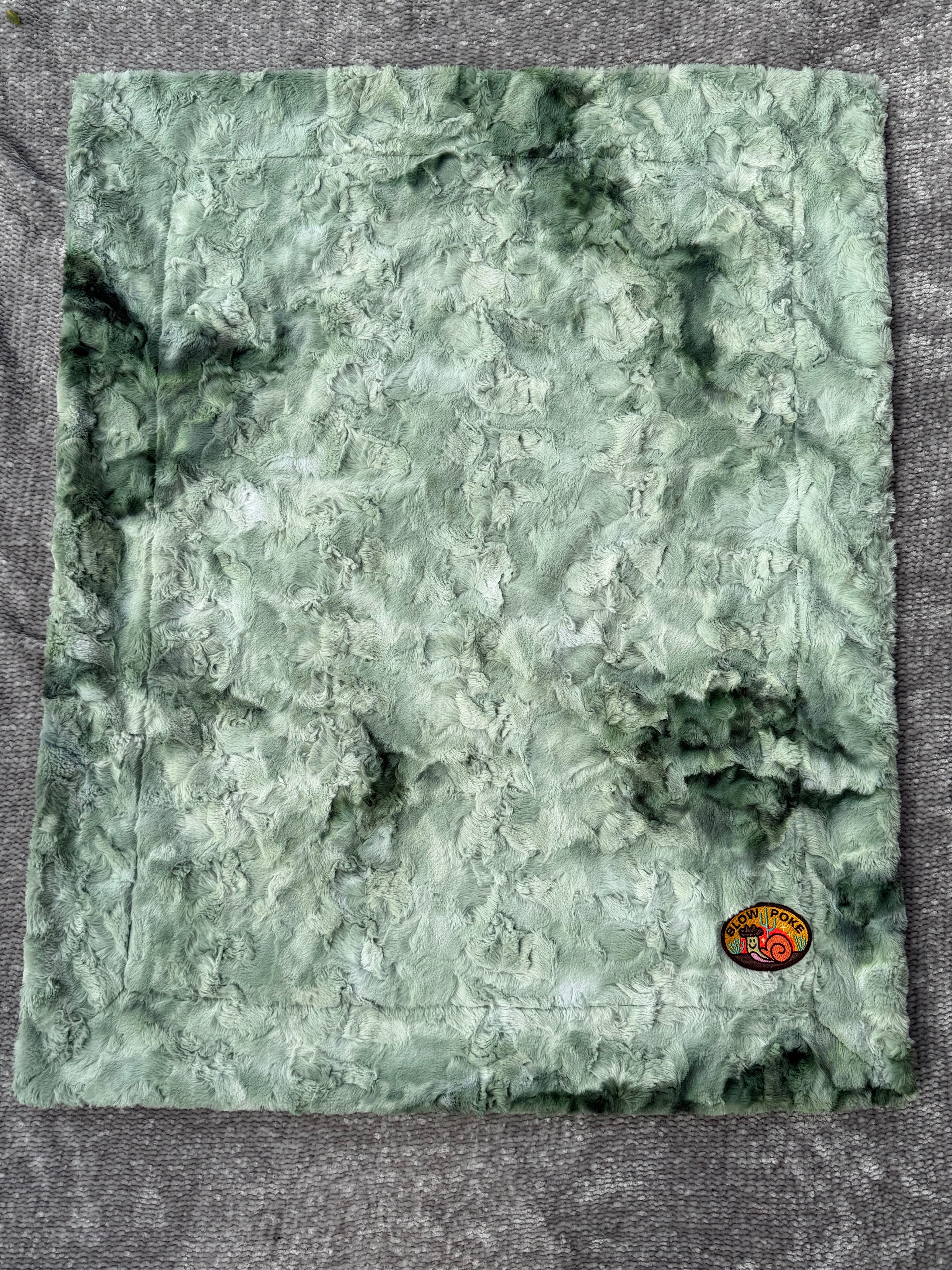 The Pokey Little Snail Minky Blanket 🐌