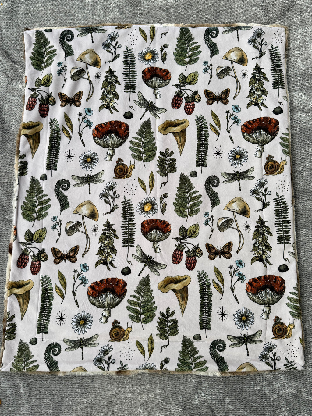 Desert Bloom Minky Baby Blanket 🌵🌞✨