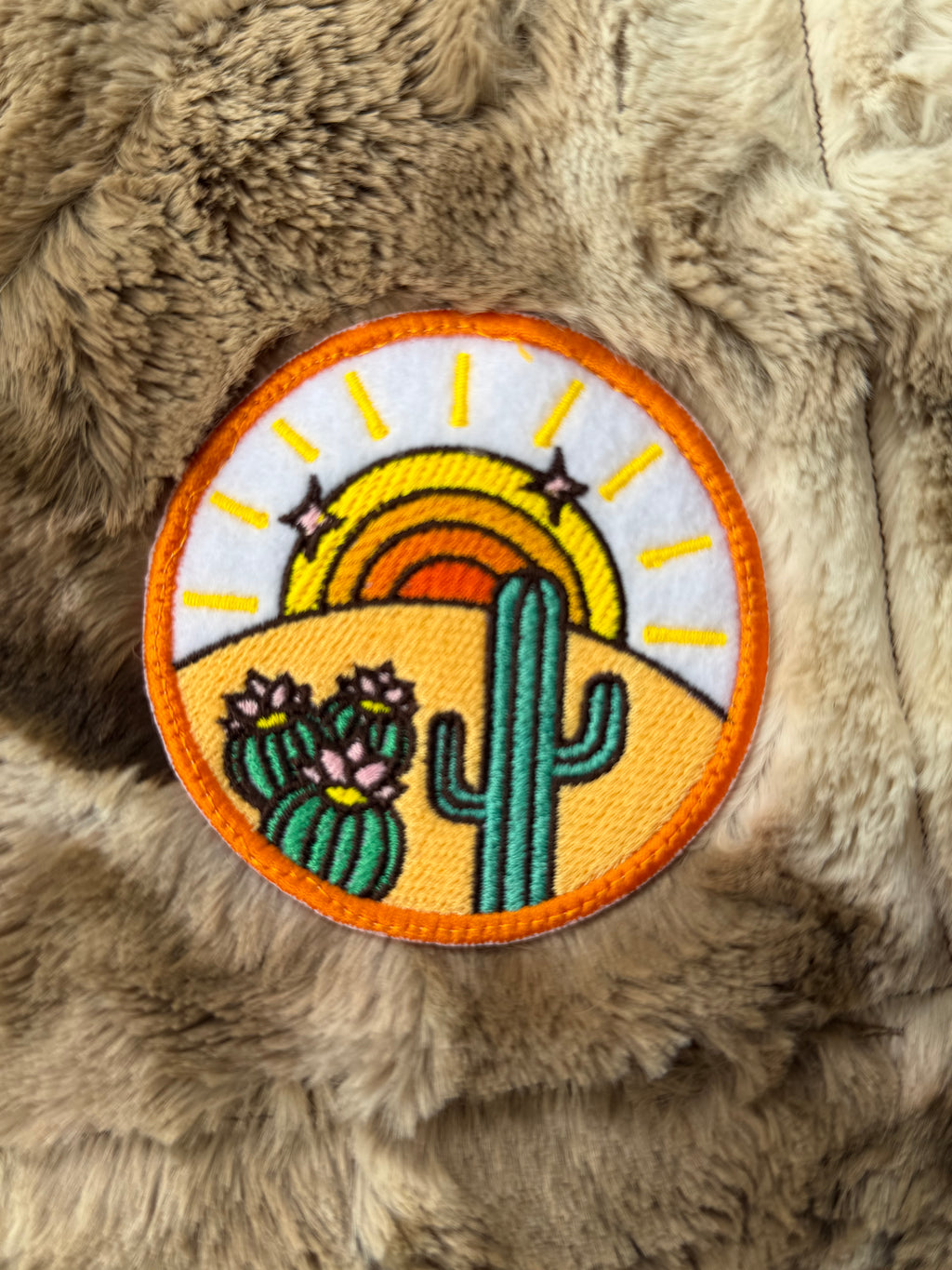 Desert Bloom Minky Baby Blanket 🌵🌞✨