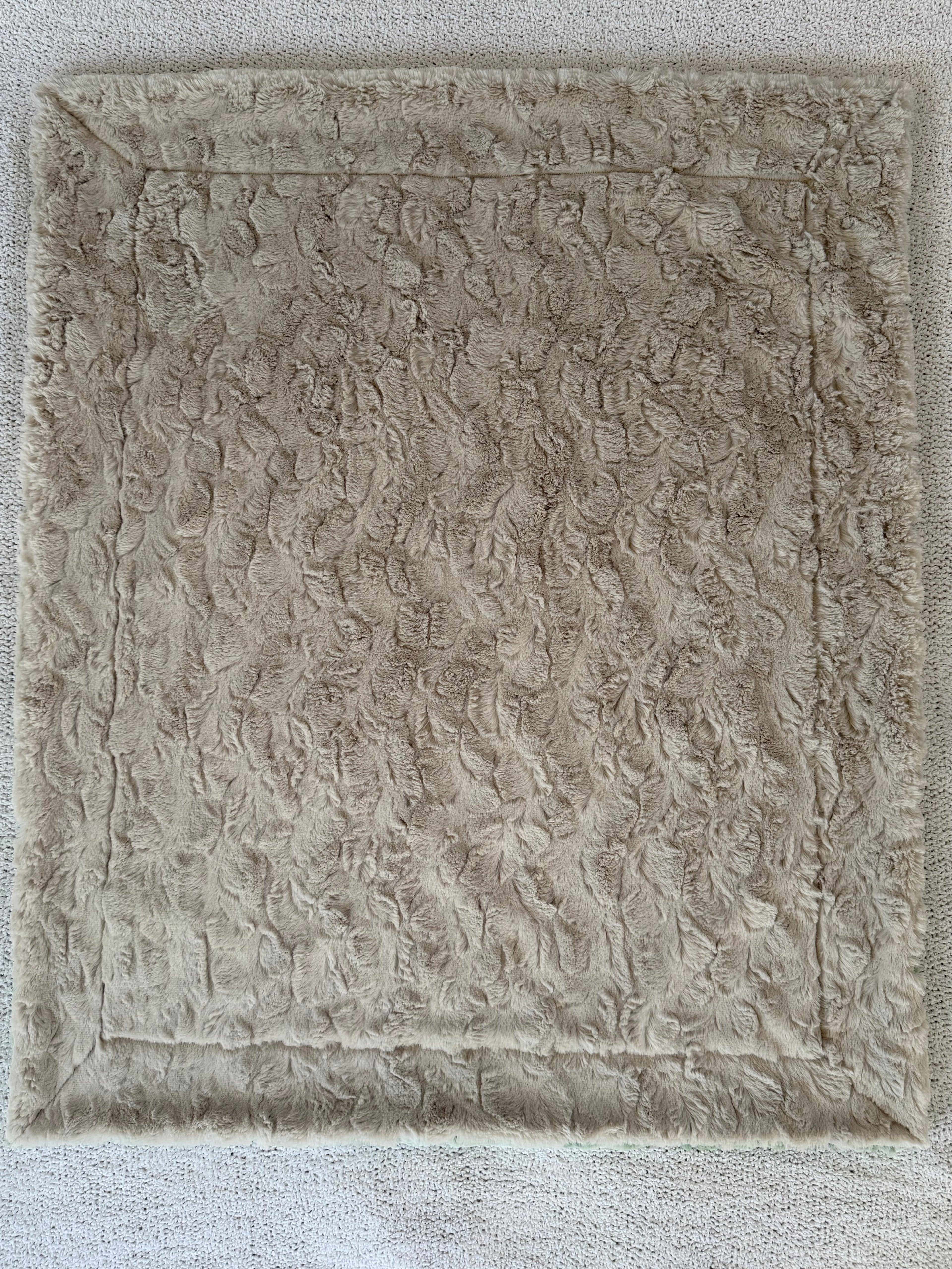 🌵 Cactus Club Minky Blanket