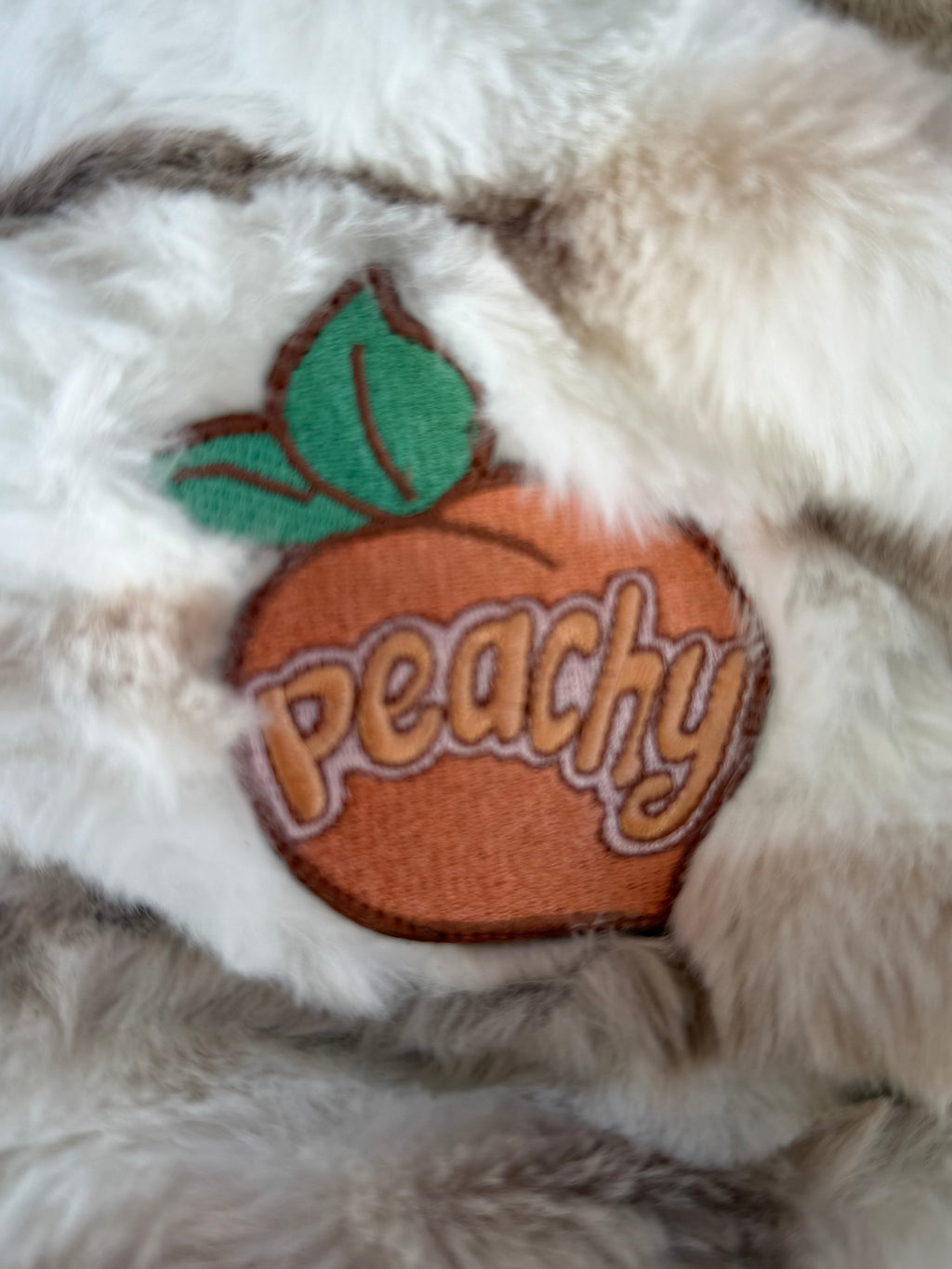Peachy 🍑 Minky Baby/Toddler Blanket