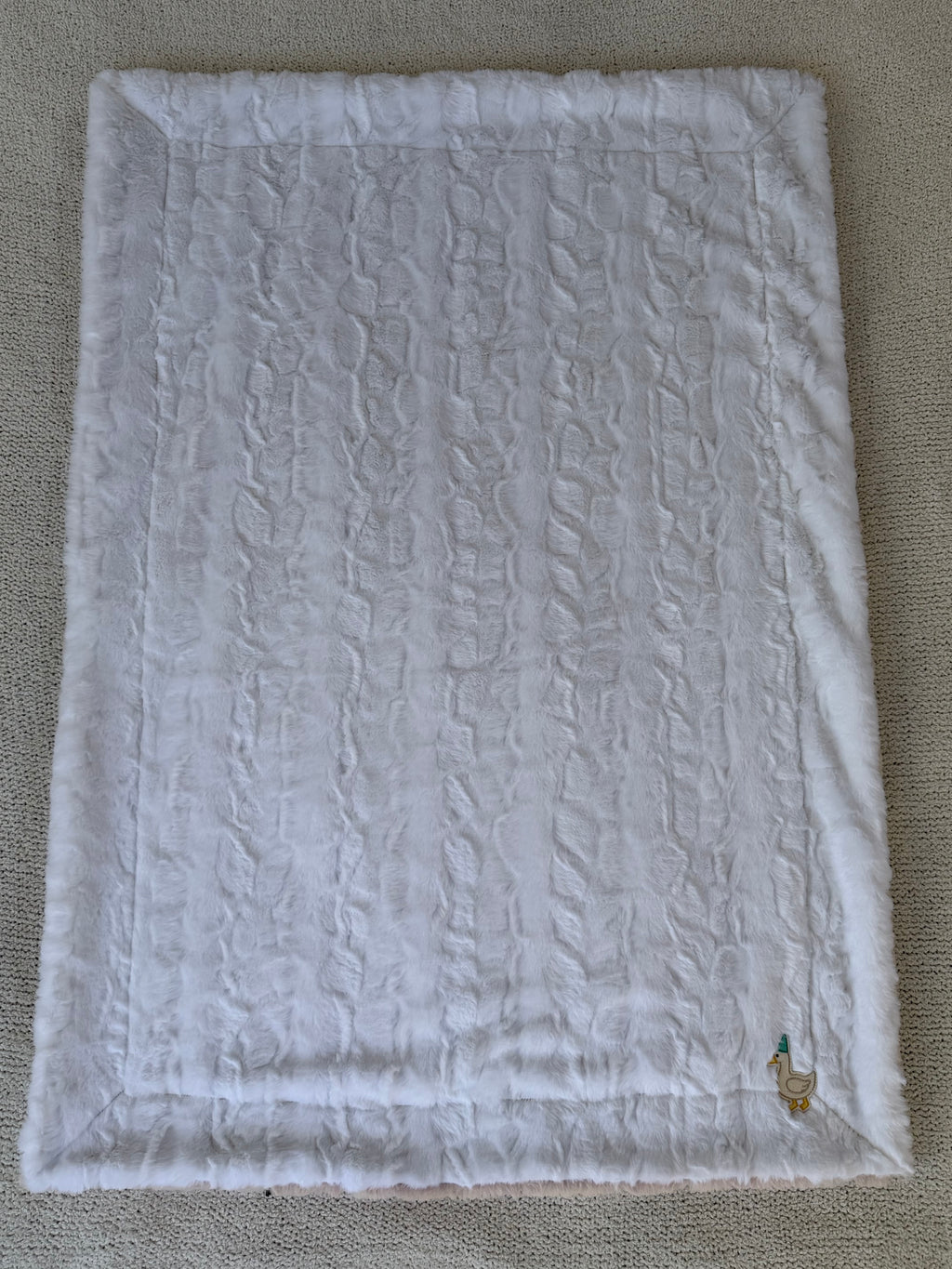 Silly Goose 🪿 Minky Baby Blanket