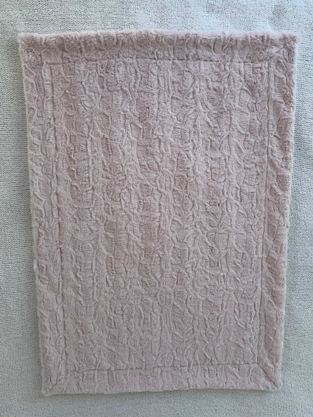 Silly Goose 🪿 Minky Baby Blanket