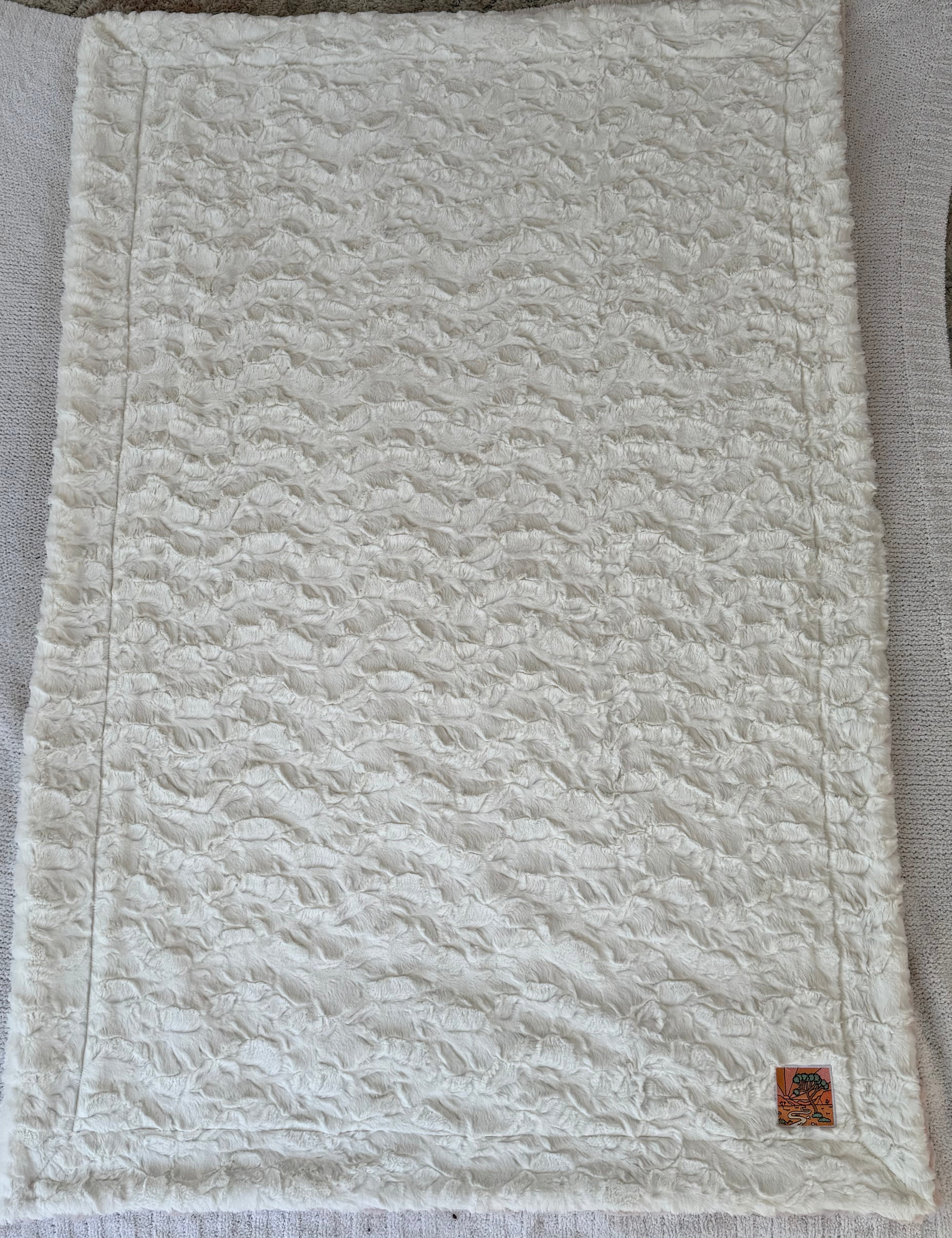 Desert Dream Minky Kid Blanket