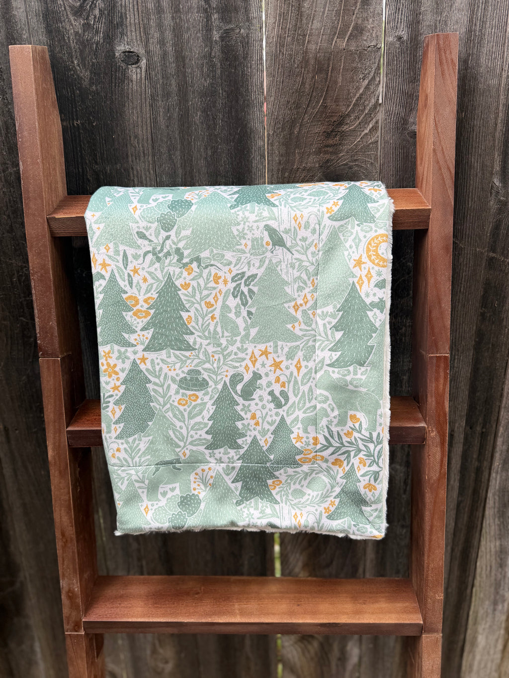 Adventure Awaits Minky Blanket 🌲✨ (Baby Size)