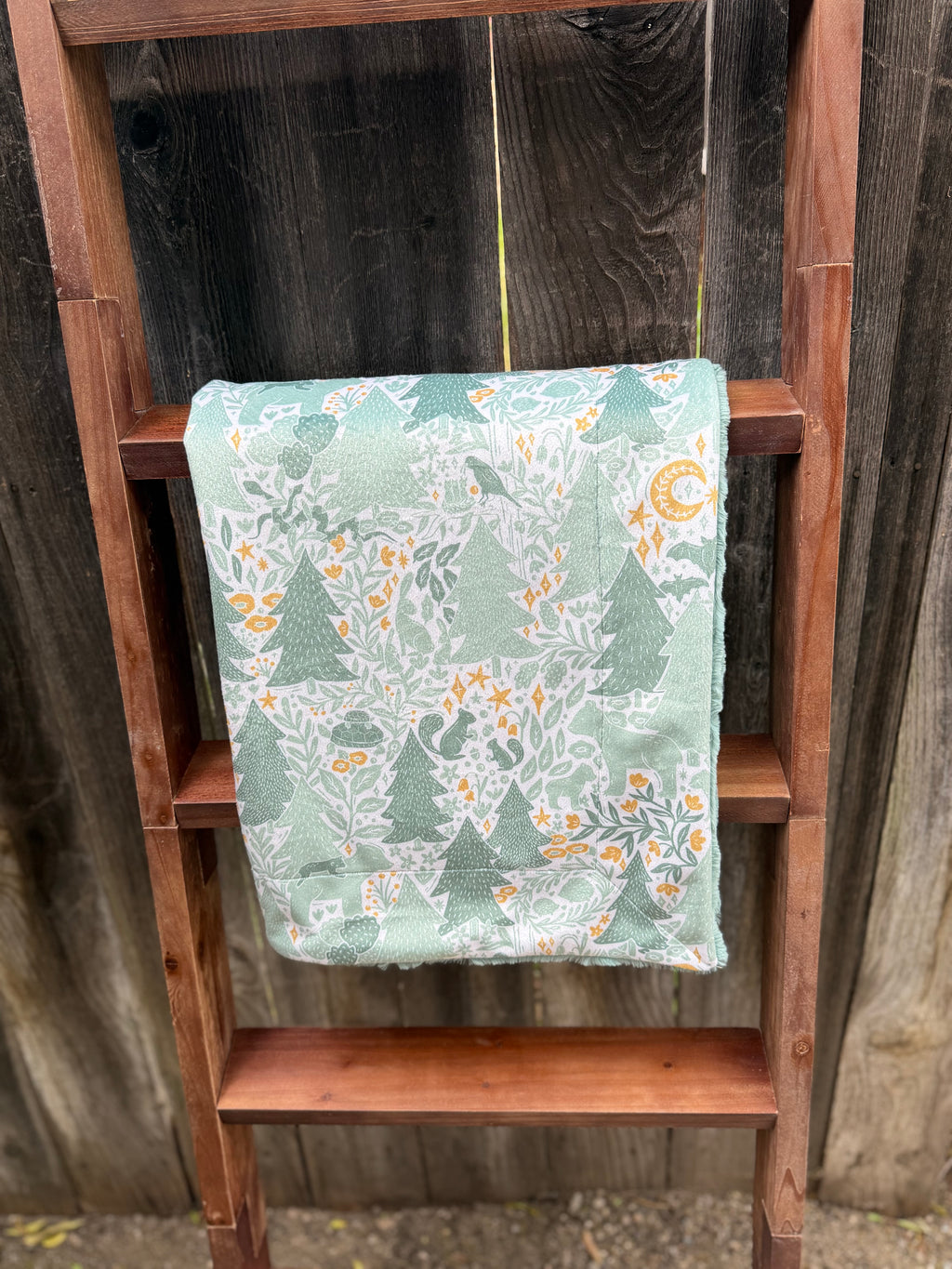 Take the Scenic Route Minky Blanket 🌄🌲 (Baby Size)