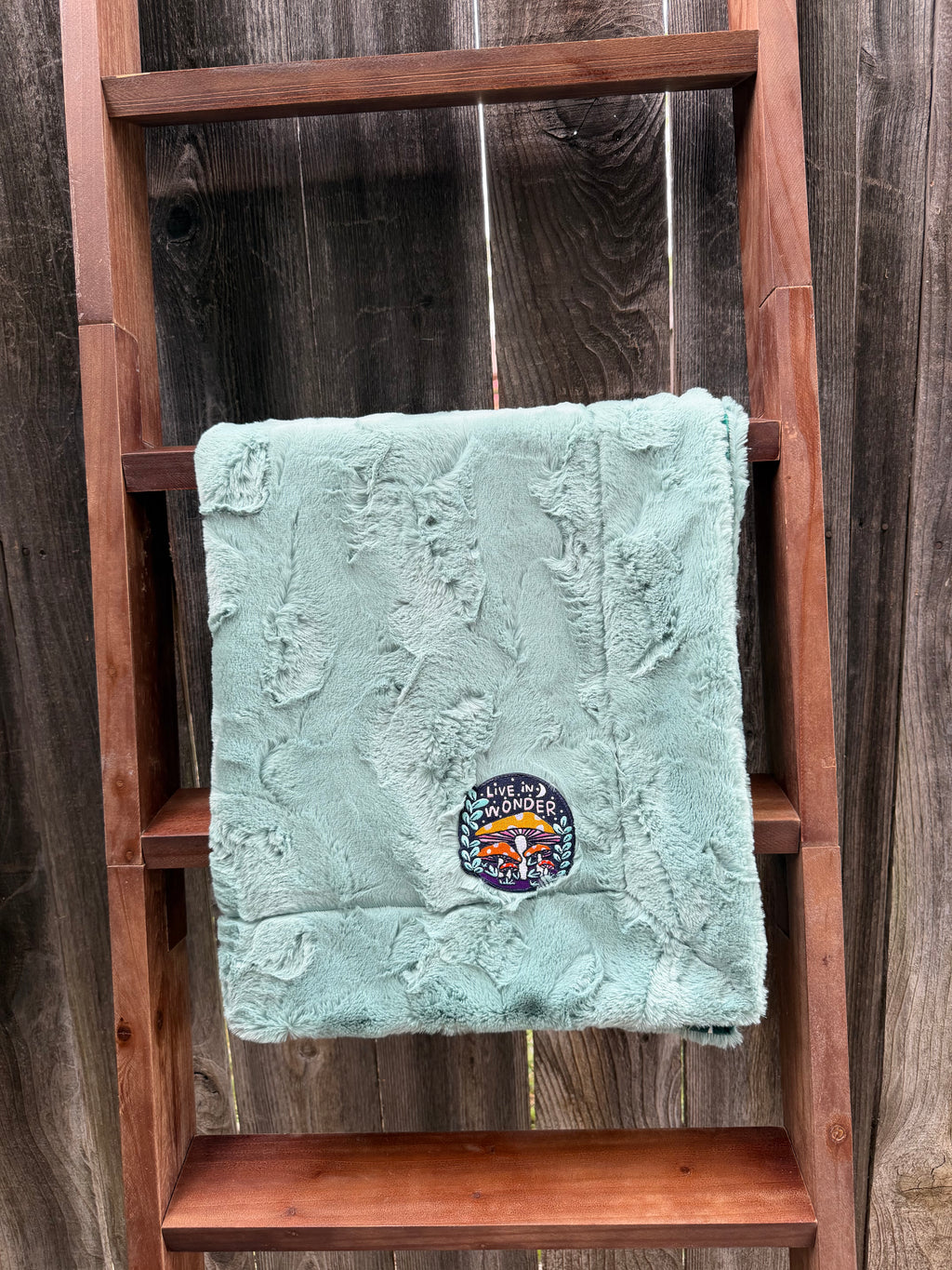 Live in Wonder Minky Blanket 🍄🌙 (Baby Size)
