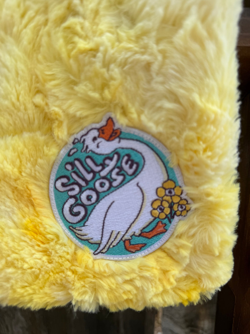 Silly Goose